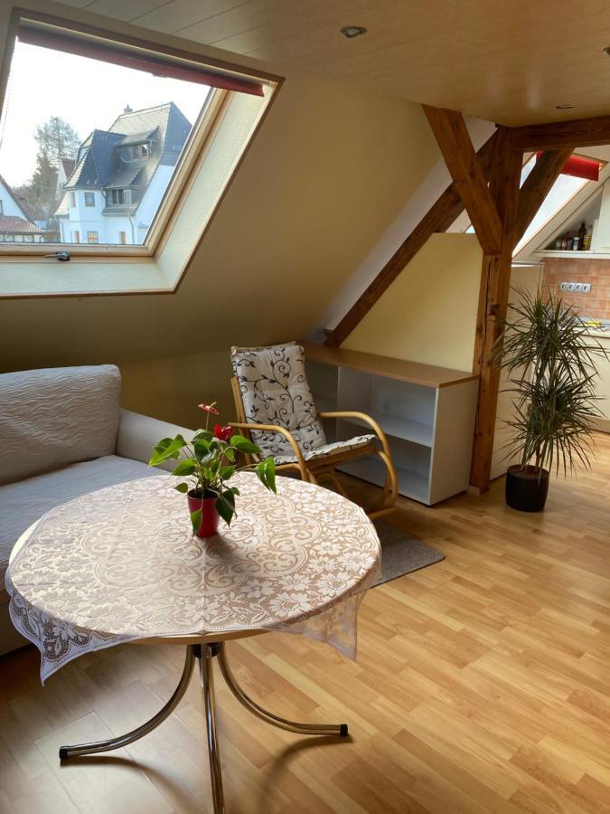 Helles Und Charmantes Loft Mit Herrlichem Blick Dresde Exterior foto