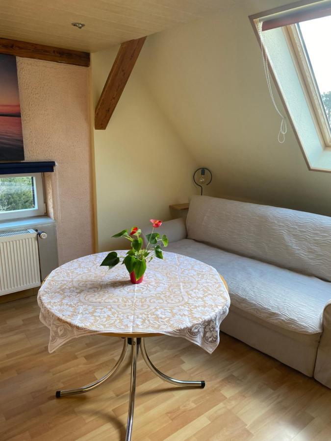 Helles Und Charmantes Loft Mit Herrlichem Blick Dresde Exterior foto