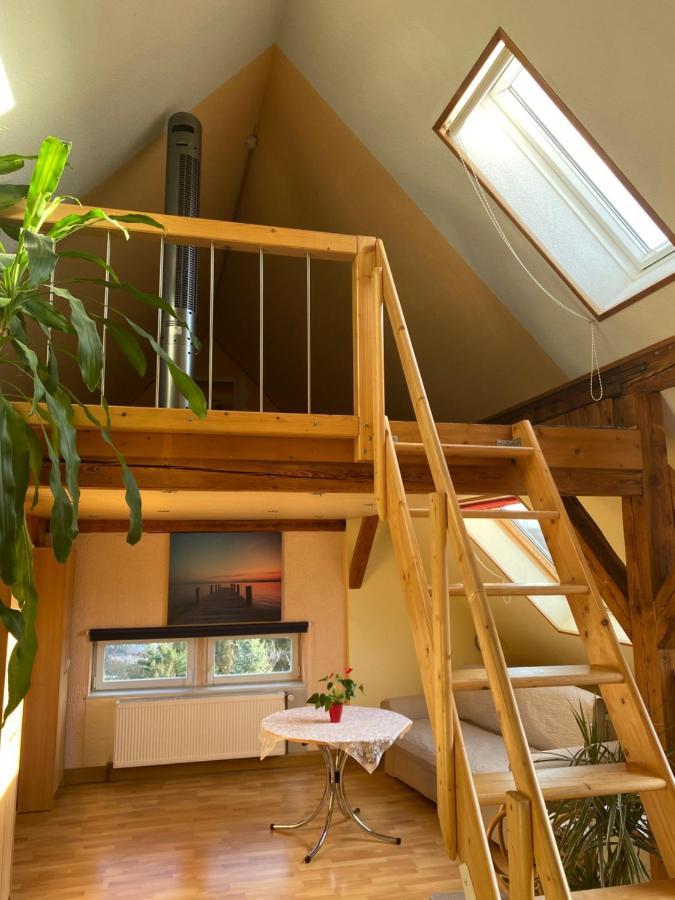 Helles Und Charmantes Loft Mit Herrlichem Blick Dresde Exterior foto