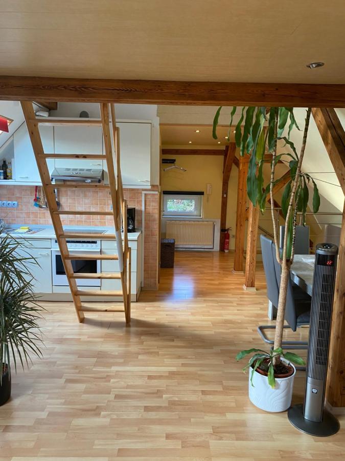 Helles Und Charmantes Loft Mit Herrlichem Blick Dresde Exterior foto